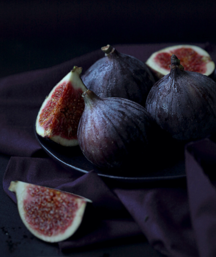 butterflies-garden-figs2